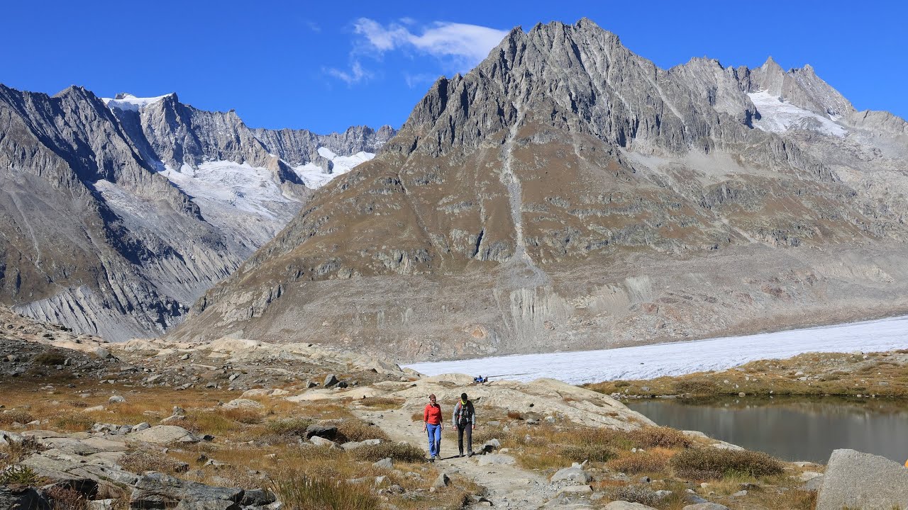 Swiss Alps: Altesch Glacier, Eggishorn, Fiescheralp