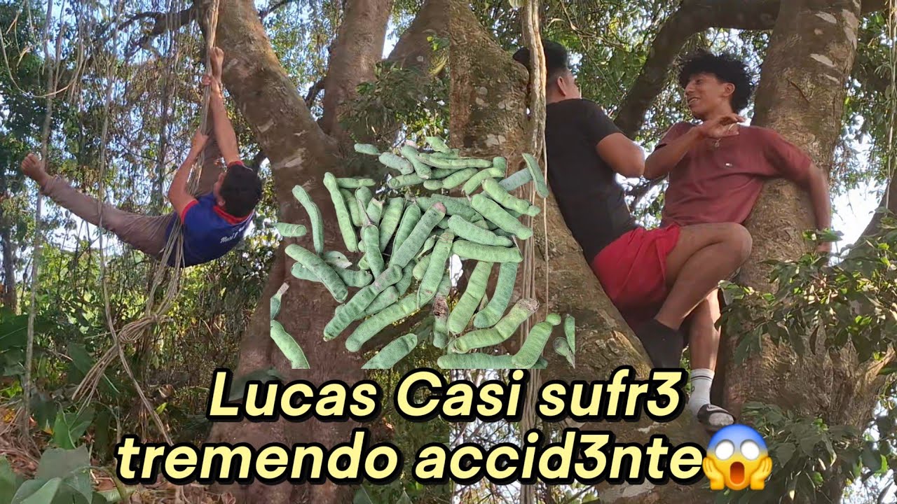 🚨Lucas Sufr3 tremendo Acc!d3nte😱Andres y Ever tiran desde arriba del Palo😭