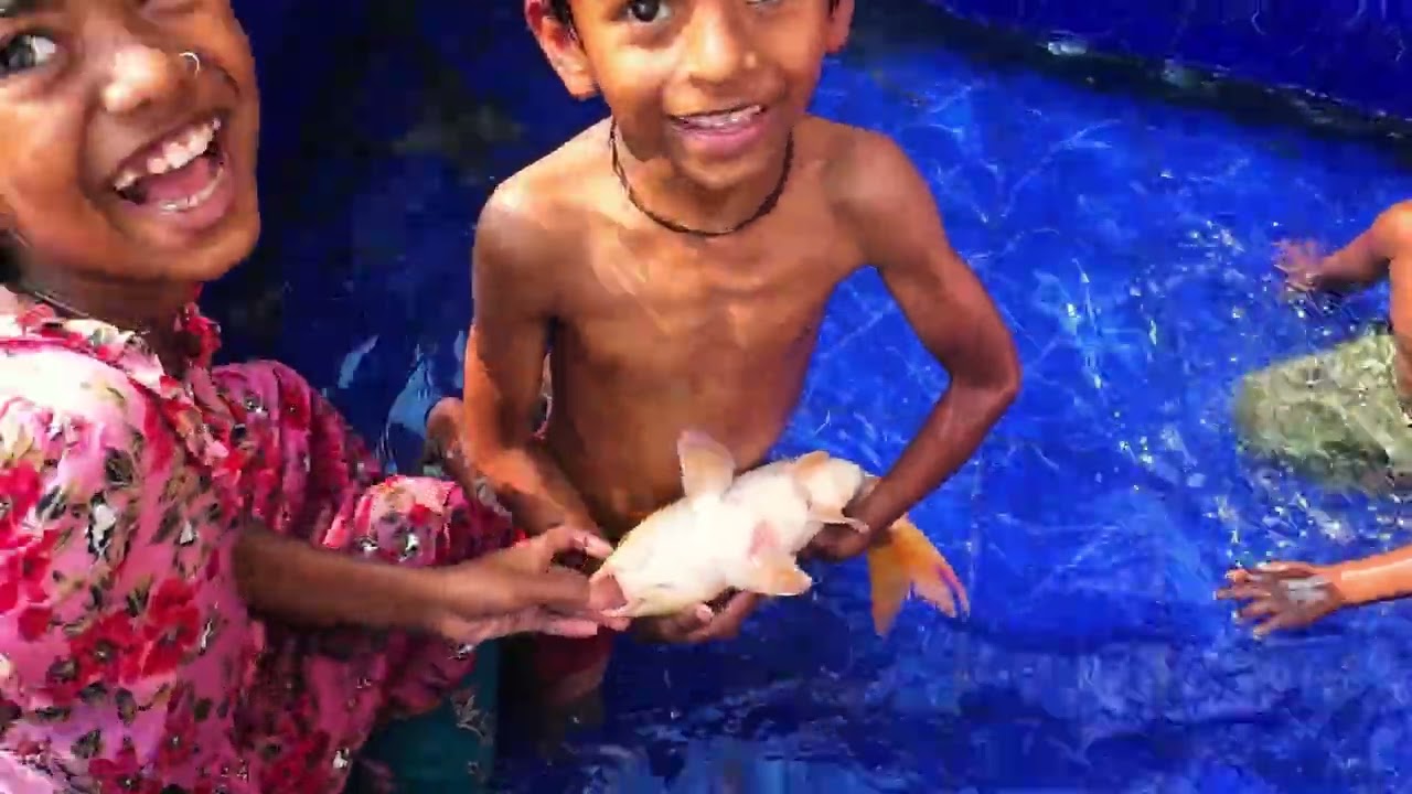 A Magical Day:Baby Swimming in a Real-Life Aquarium