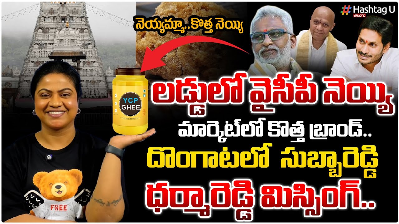 మార్కెట్లోకి కొత్త వైసీపీ నెయ్యి..! Common Voter exposing analysis on TTD Laddu Scam| HashatgU