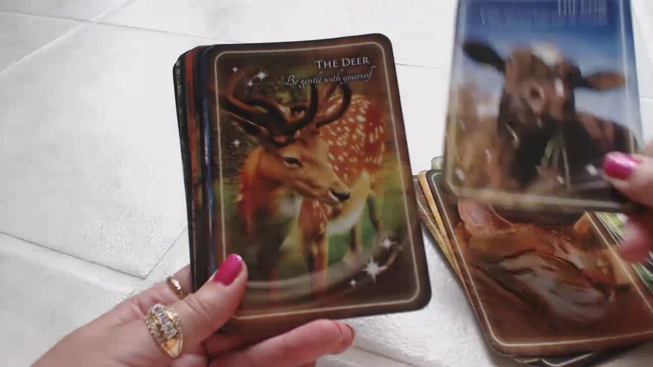 Traceyhd's Review Of The Animal Whispers Empowerment Cards