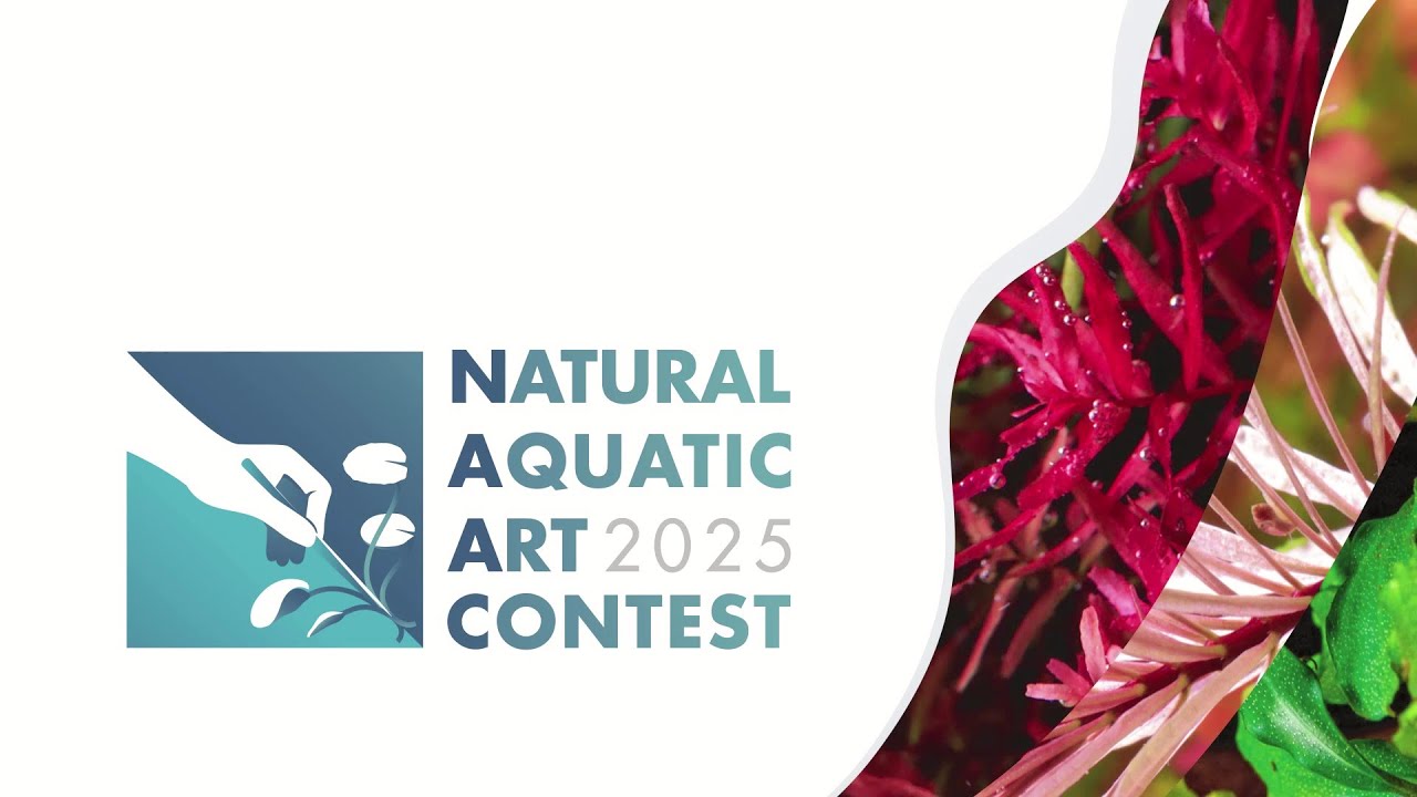 NAAC 2025 RANKING NACIONAL - Natural Acuatic Art Contest
