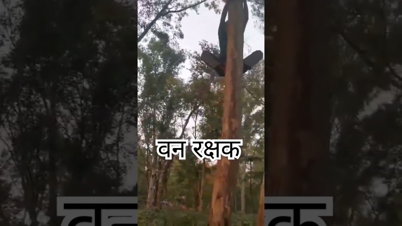 #banrakshak #forestguard #forestguardexam #treeclimbing