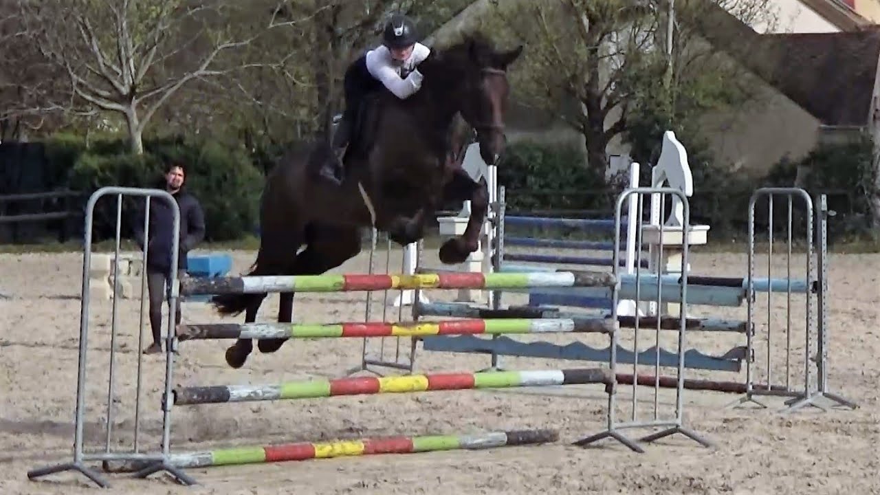 ■ 06/04/2023 - Entraînement aux écuries CBM - Fraqk du Pré du Jart - CSO - Clara Maitre