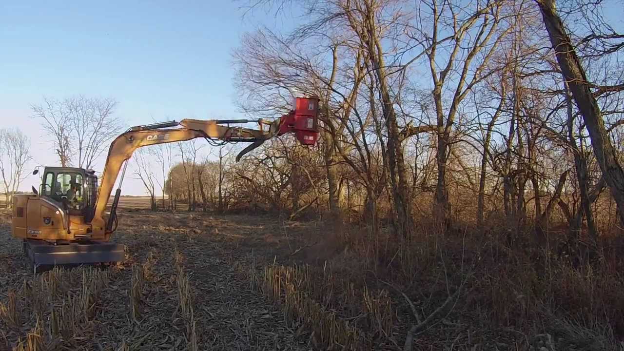 Case CX80 Fecon Tree Shredder TimeLapse