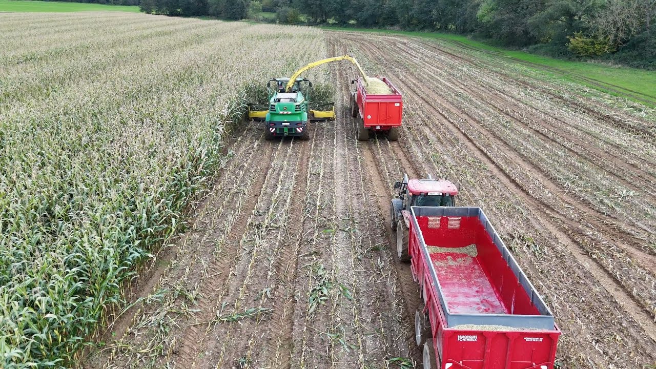 Ensilage 2k24