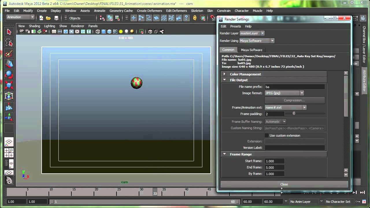 Common  Settings in the Maya Software Renderer