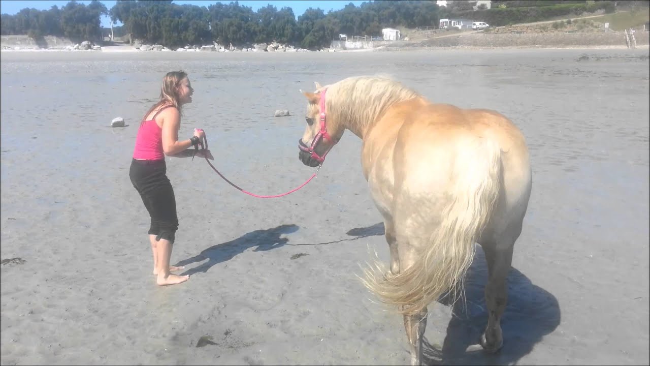PONY'VLOG N°2 - PLAGE AVEC MON PONEY !