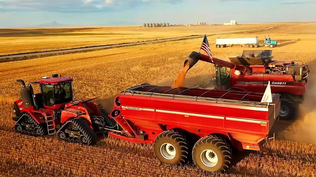 An ENTIRE Year of FARMING｜ 2019 Season Rewind
