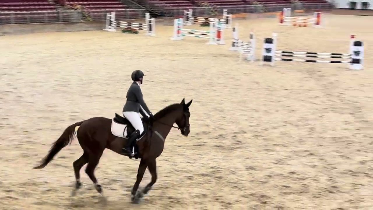 Intense and Zoe Weide at 2025 NW Pony Club Region Show Jump Rally