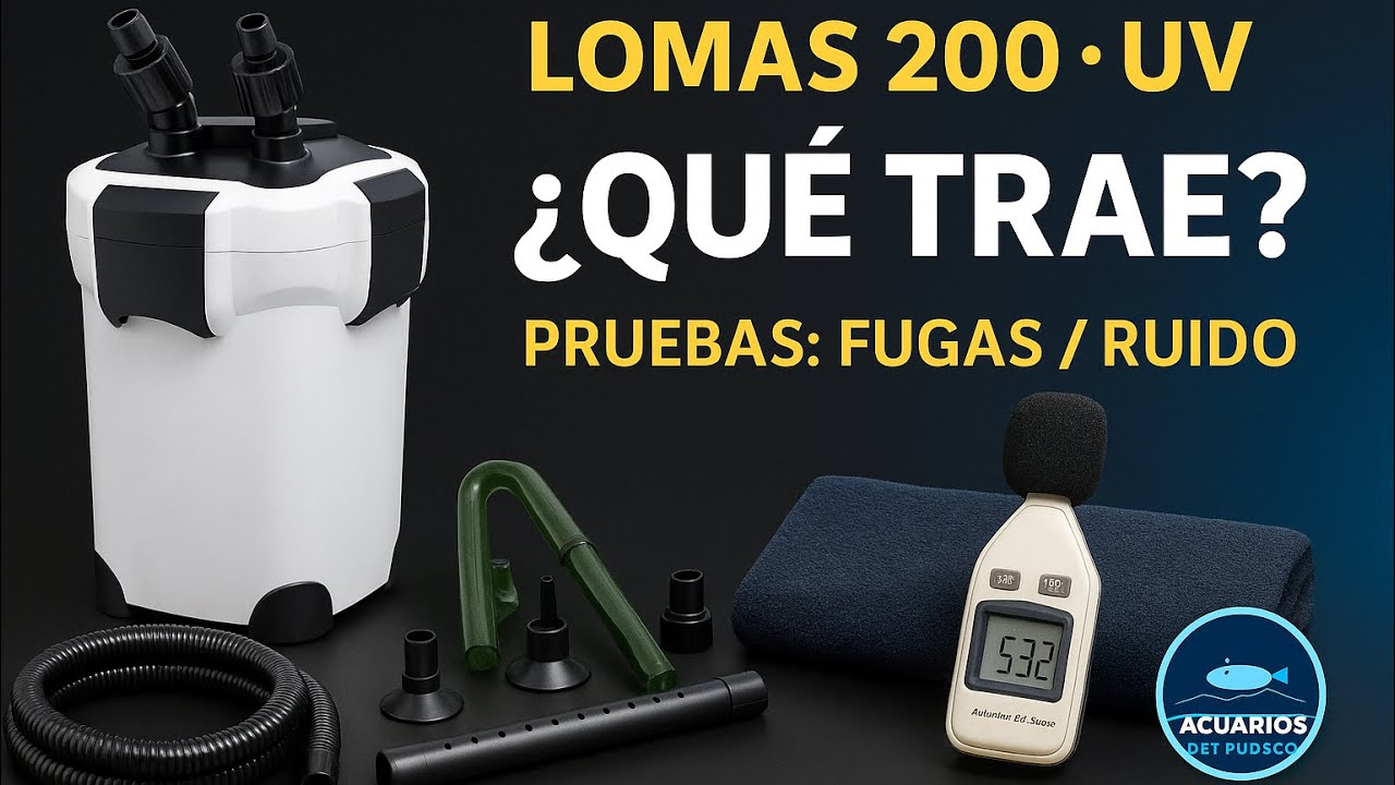 Canister LOMAS 200 L con UV: ¿qué trae? armado + prueba de fugas/ruido