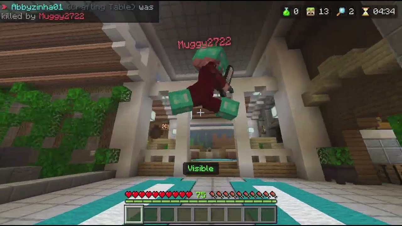 Minecraft - Hide and Seek