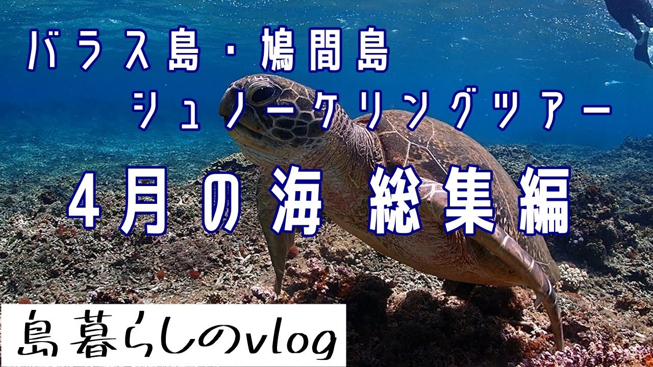 西表島バラス島・鳩間島シュノーケリングツアー/4月総集編/No.221