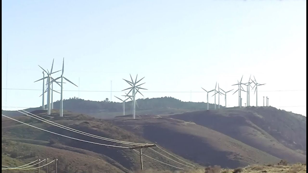 Green Jobs | Cronkite News