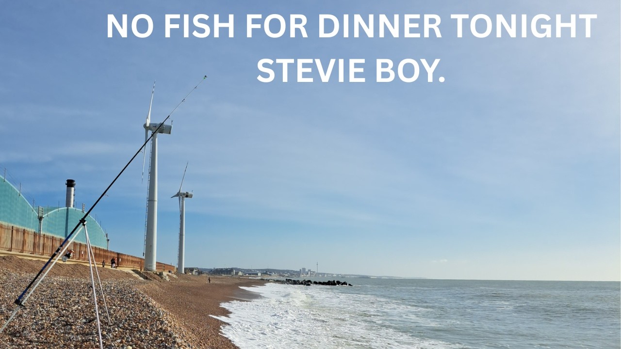 Looks like the only fish tonight are from a tin.