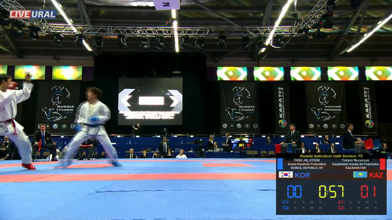 Kumite Individual male Seniors -75 Karate1 Premier League, Tyumen 2013