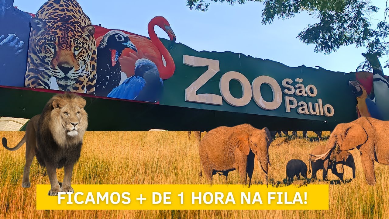Zoológico de São Paulo + Mundo Dino | São Paulo - SP