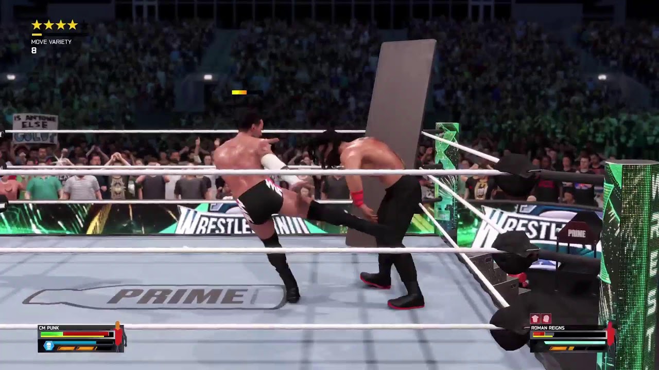 CM PUNK V ROMAN REIGNS MATCH