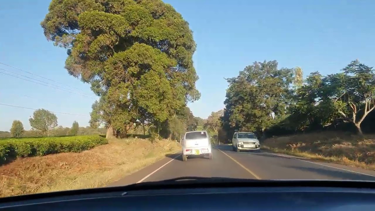 An exciting drive around Tigoni..