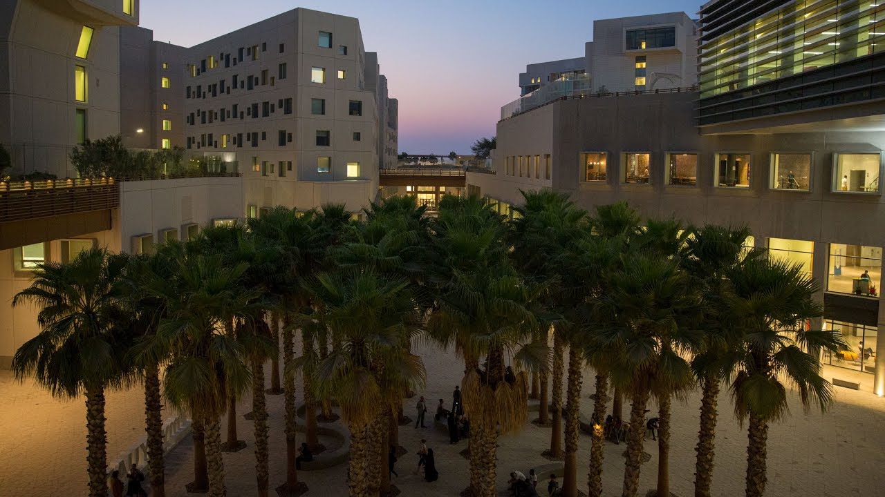 NYU Abu Dhabi Campus Tour