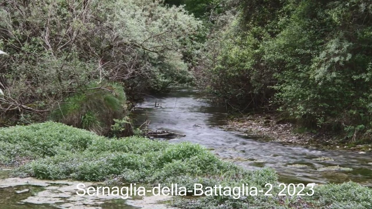 Sernaglia della Battaglia 2 2023 FotoAmatoriali