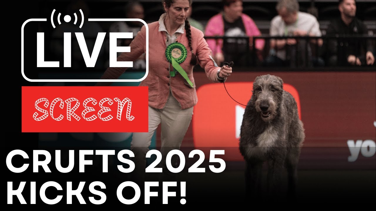 Crufts 2025 Day 1 LIVE: Best Dogs Compete in HTM, Breeders’ Final & Hound Group Showdown | SCREEN