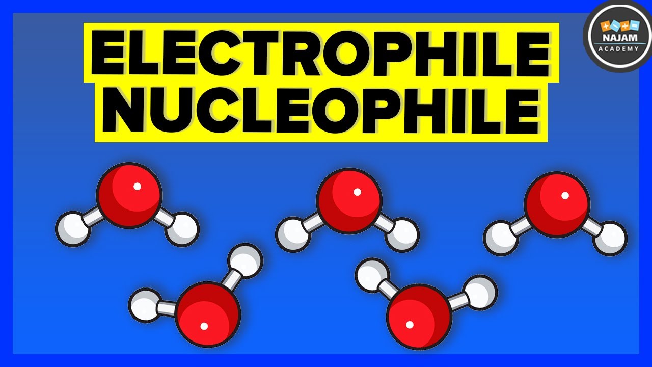 Electrophile and Nucleophile