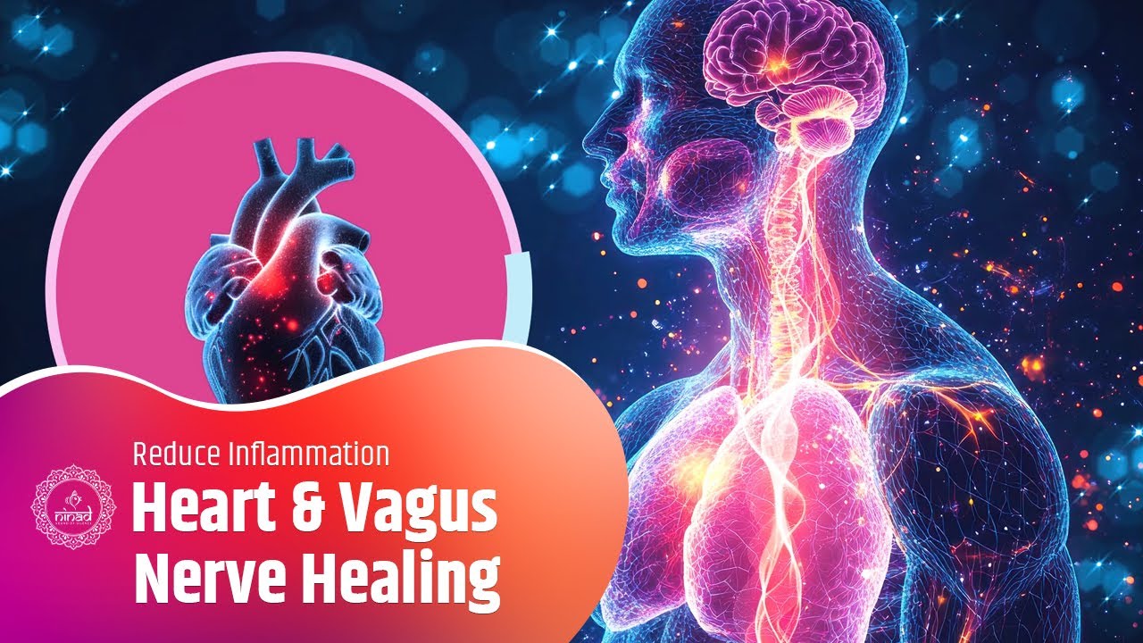 Heart & Vagus Nerve Healing | Improve Circulation, Reduce Inflammation & Restore Calm
