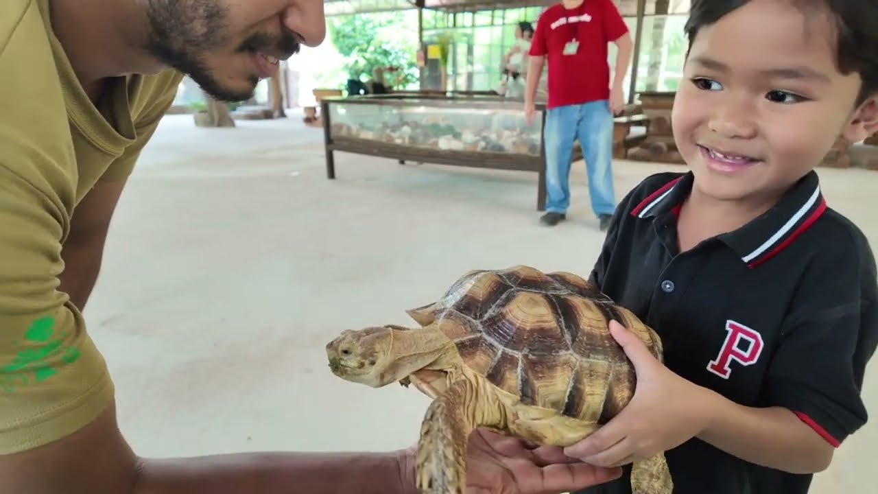 THE BENTONG FARM, PETTING ZOO