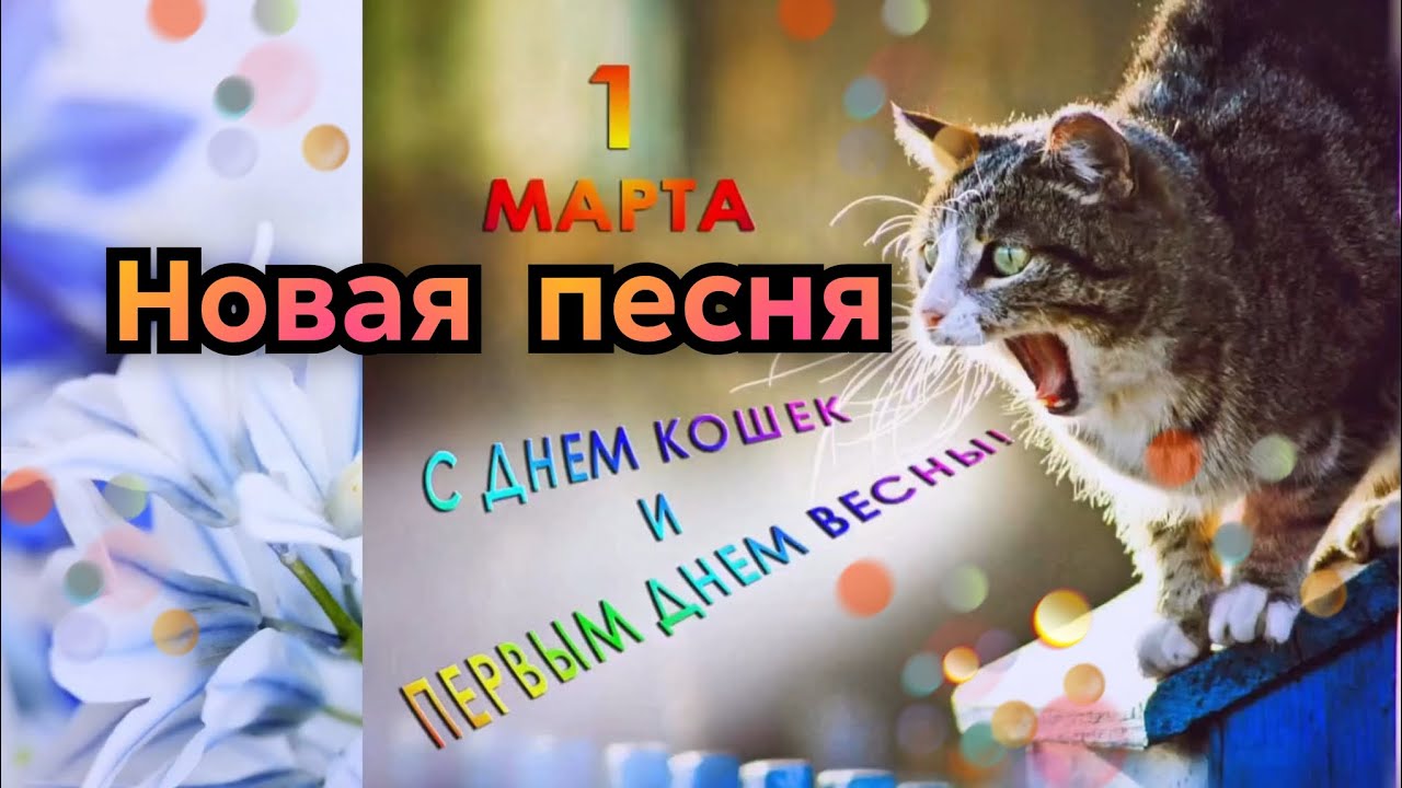 С 1 МАРТА! С ДНЁМ КОШЕК! Новая весёлая песня про кошек 🐈