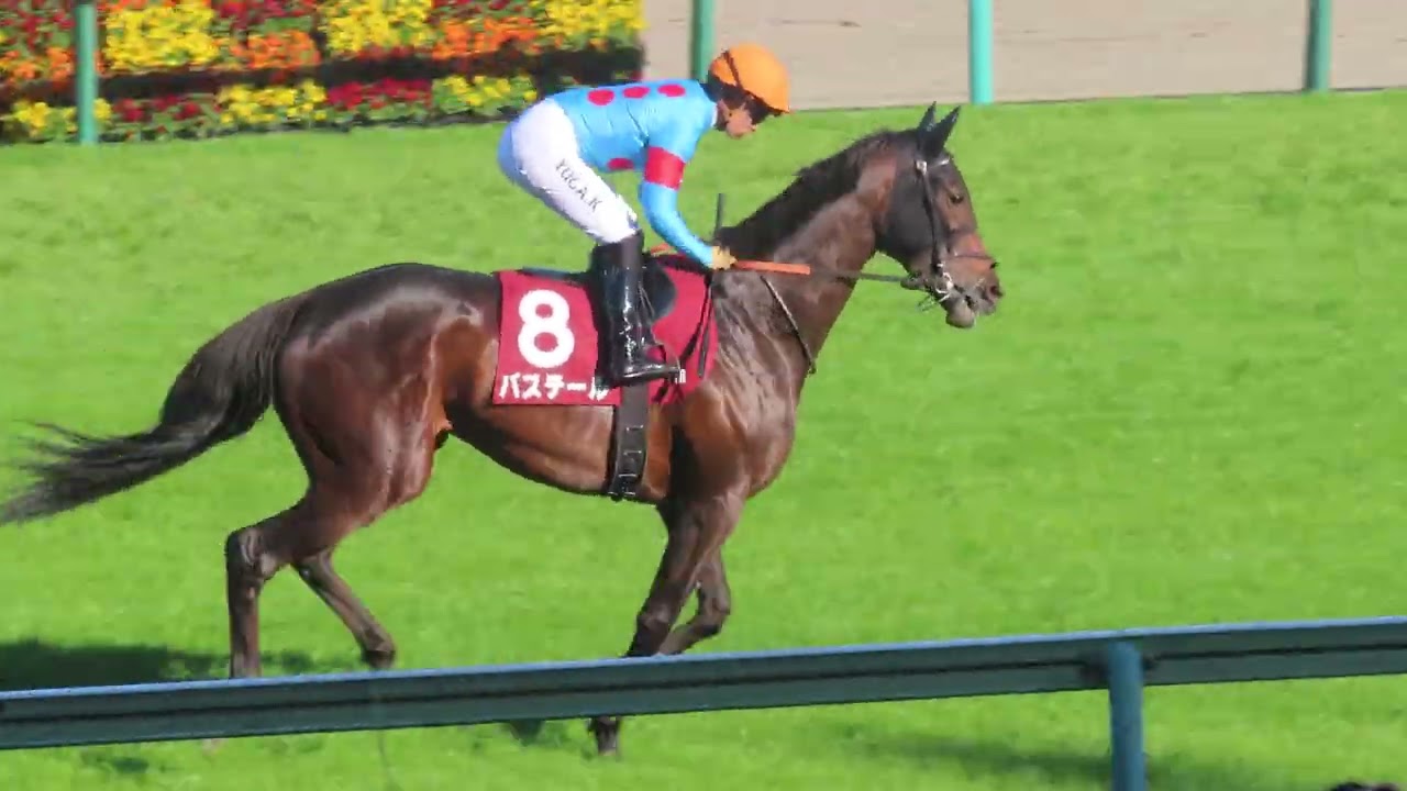 2026年3月8日 中山11R 報知杯弥生賞DI記念G2 本馬場入場 バステール