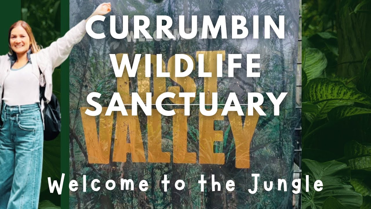 What's INSIDE? - Currumbin Wildlife Sanctuary - Gold Coast |ゴールドコースト・カランビンのワイルドな冒険