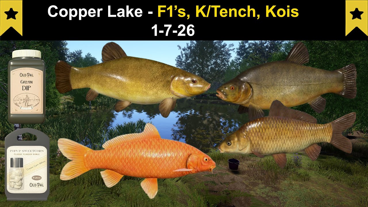 Russian Fishing 4, Copper Lake - F1&rsquo;s, K/Tench, Kois  1-7-26