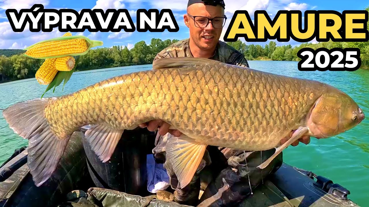 Lov Amura 2025 - Výprava🌽🐳 Lov Amurů Amurov 🌞 na kukuricu a boilies - Rybárske Videá s Demexom