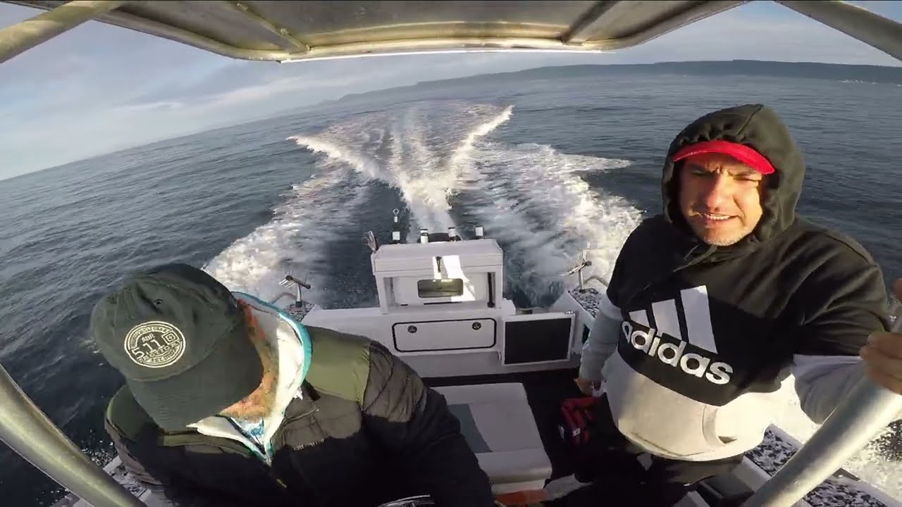 Snapper Fishing | Bellambi NSW | Fishing Action TV