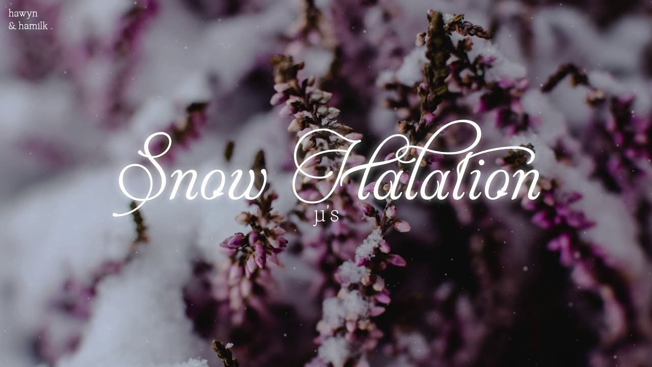 • Vietsub/Lyrics • μ's 'Snow Halation' | Hawyn & Hamilk