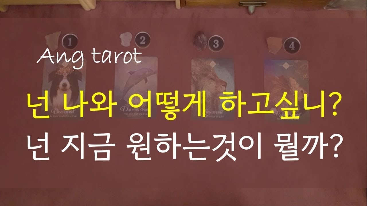 [타로/연애]  지금 그사람이 원하는것이 무엇일까? 나와 어떤관계를 원하는 걸까? (재회, 애매한 관계, 힘든 연애, 썸, 짝사랑 ) (feat 속마음, 관계흐름)