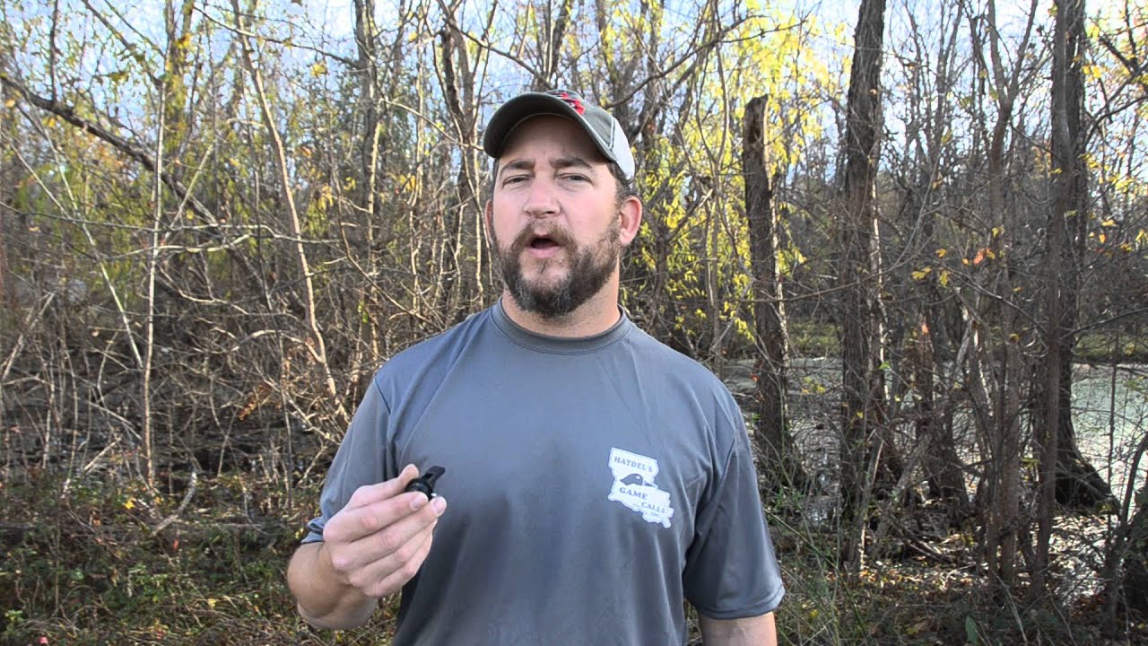 Q 91 Bobwhite Quail Call