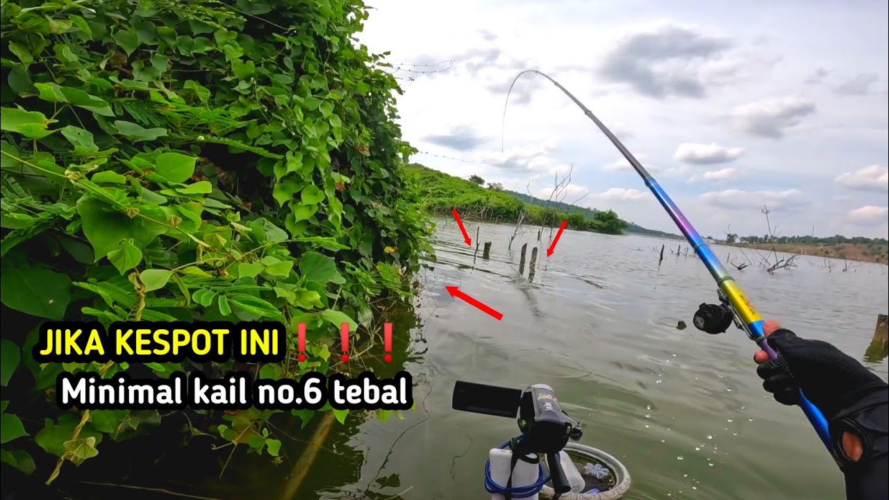 AHHH❗❗❗ PARA PEMANCING TIDAK SEGERA DATANG KESINI BAKAL MENYESAL  || WADUK GONGSENG