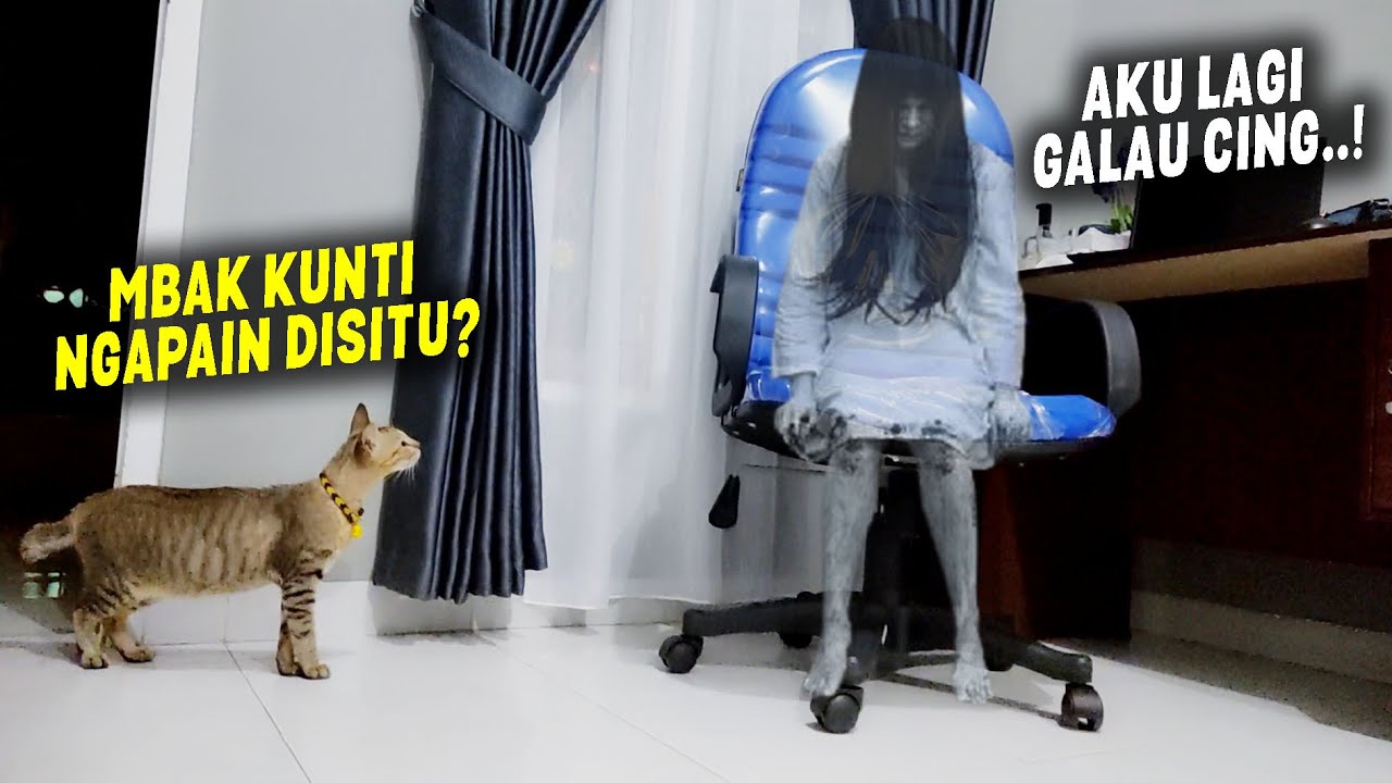 SEREM BANGET..! Momen Ketika Kucingku Melihat Hantu ~ Ngrekamnya Sampe Merinding
