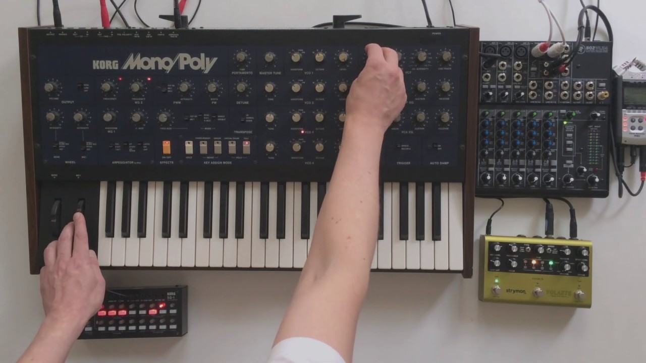 Strymon Volante & Korg Mono/Poly