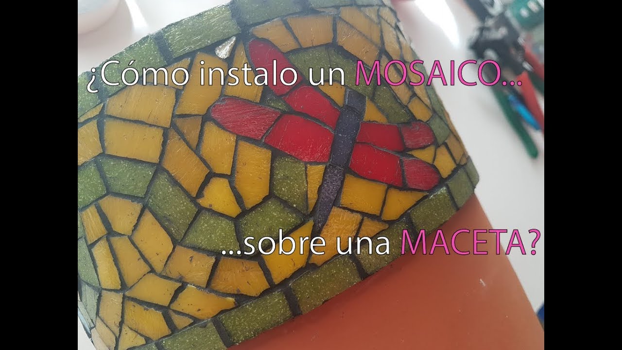 Colocación mosaico de venecitas sobre maceta