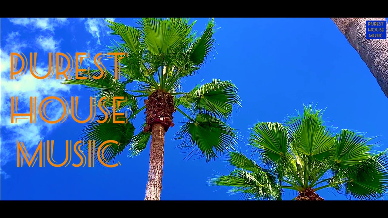 Funky House Music Mix -  Soulful Deep House Groovy DJ Set Afterwork