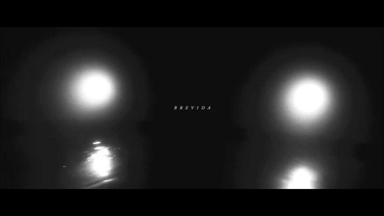 1. Brevida - Anistie