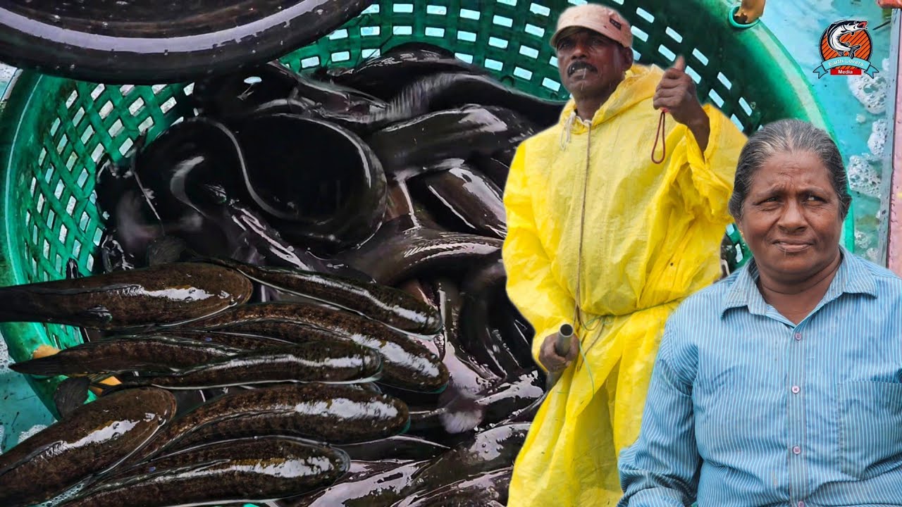 ചിലപ്പോൾ ഒക്കും ചിലപ്പോൾ ഒക്കില്ല, പക്ഷെ ഇന്ന് ഒത്തിട്ടുണ്ട് |Earth Lovers Media|Real Life Vlog