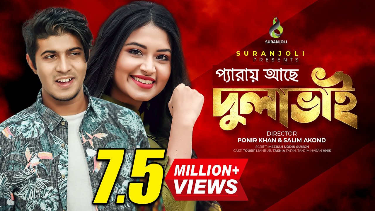 প্যারায় আছে দুলাভাই |  Tawsif Mahbub | Tasnia Farin | Anik | Bangla Natok 2021