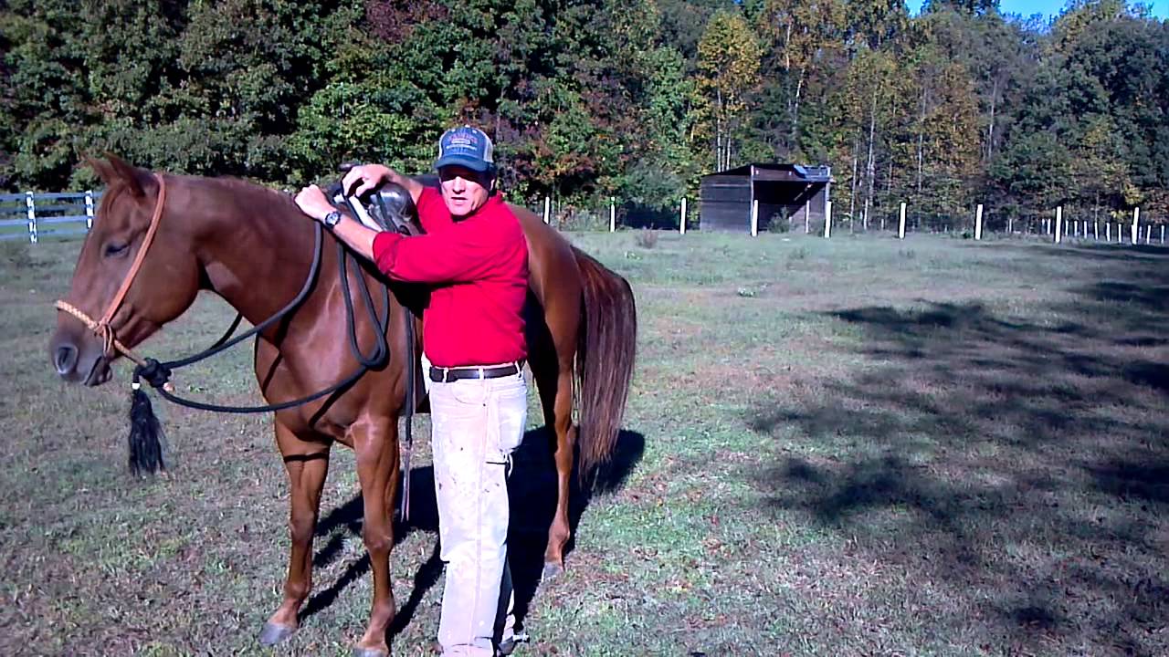 How to Safely Mount a Horse in a Western Saddle