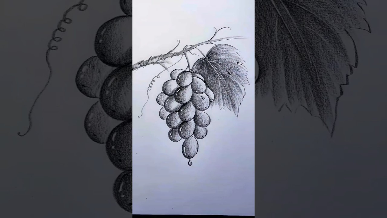 Grapes shading #drawing #grape #fruit #art