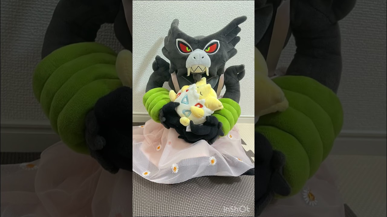 ザルードお姉さんの一日