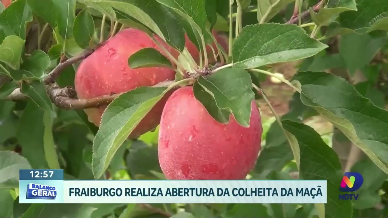Fraiburgo celebra início da colheita da maçã com evento agrícola